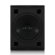 BOXA PASIVA TANNOY VX 12