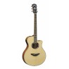 Chitara Electro-Acustica Yamaha APX500 III N