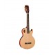 Chitara Electro-clasica Washburn EACT42S