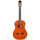 CHITARA ACUSTICA JAY TURSER JTC-430