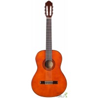 CHITARA ACUSTICA JAY TURSER JTC-430