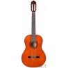 CHITARA ACUSTICA JAY TURSER JTC-430