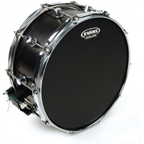 FATA TOBA EVANS B12ONX2