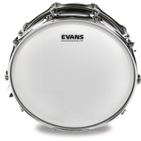 FATA TOBA EVANS B16UV1