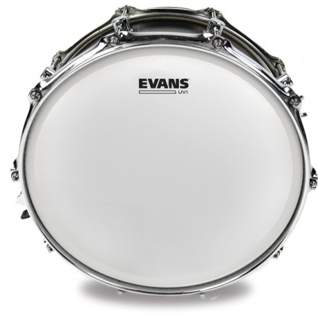 FATA TOBA EVANS B16UV1