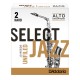 ANCIE SAXOFON ALTO D'ADDARIO RRS10ASX2S