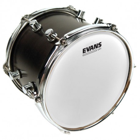 FATA TOBA EVANS B13UV1