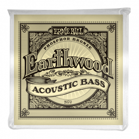 Set Corzi Chitara Bass Acustica Ernie Ball Eearthwood 45-95 Stainless Steel