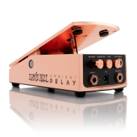 PEDALA EFECT CHITARA ERNIE BALL AMBIENT DELAY