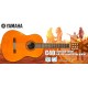 SET CHITARA ACUSTICA YAMAHA C40 Package Standard