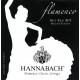 CORZI CHITARA CLASICA HANNABACH 652.927