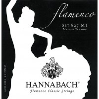 CORZI CHITARA CLASICA HANNABACH 652.927