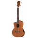 UKULELE ELECTRO-ACUSTIC VGS VG512.221