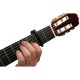 CAPODASTRU PLANET WAVES PW-CP-16