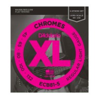 Corzi Chitara Bass Electrica D'addario Chromes ECB81