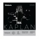 SET CORZI VIOARA D'ADDARIO KV310 4/4M