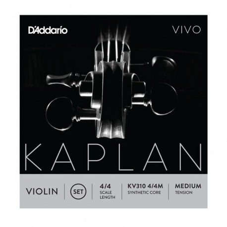 SET CORZI VIOARA D'ADDARIO KV310 4/4M