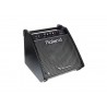 MONITOR SCENA ROLAND PM-100
