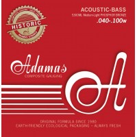 CORZI CHITARA BASS ACUSTICA GEWA 669.605