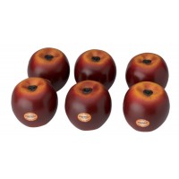 SHAKER REMO SC-APLG-06 834.302