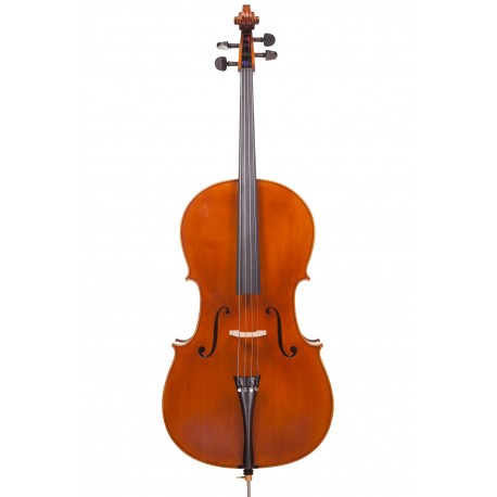 VIOLONCEL PICCOLO VIOLONCEL 4/4