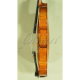 VIOARA ACUSTICA GLIGA P-V044 PROFESIONAL 4/4