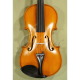 VIOARA ACUSTICA GLIGA AW-V012 GEMS1 1/2