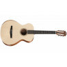 Chitara Electro-Clasica Taylor Academy 12e-N