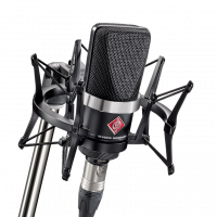 Set Microfon de Studio Neumann TLM 102 Black, cu Shock Mount