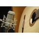 MICROFON STUDIO NEUMANN M 147 TUBE