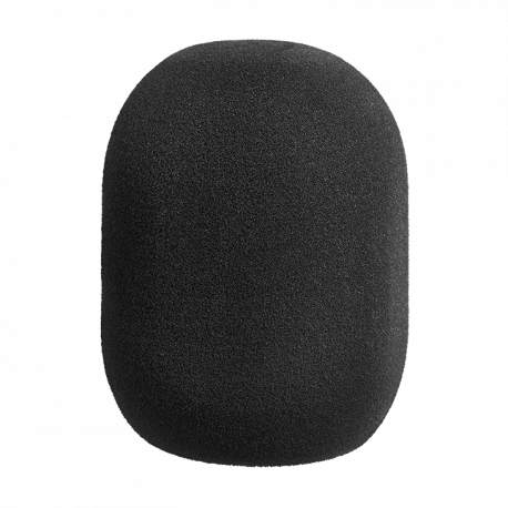 BURETE PARAVANT MICROFON NEUMANN WS-87