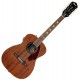 Chitara Electro-acustica Fender Tim Armstrong Hellcat