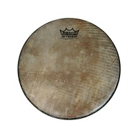 FATA DOUMBEK REMO SKYNDEEP 9inch FISH GRAPHIC