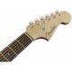 CHITARA ELECTRO-ACUSTICA FENDER NEWPORTER PLAYER