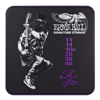 SET CORZI CHITARA ACUSTICA ERNIE BALL SLASH SIGNATURE SET