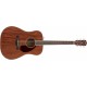 CHITARA ELECTRO-ACUSTICA FENDER PM-1 STANDARD DREADNOUGHT