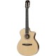 Chitara Electro-Acustica Taylor 214ce-N SS