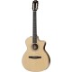 Chitara Electro-Acustica Taylor 214ce-N SS