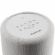 Boxa Portabila Bluetooth Multiroom, A10 Audio Pro Light Gray