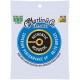 SET CORZI CHITARA ACUSTICA MARTIN GUITARS MARTIN MA180