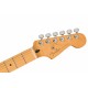 CHITARA BASS ELECTRICA FENDER PLAYER PLUS STRATOCASTER?