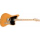 CHITARA ELECTRICA FENDER PARANORMAL OFFSET TELECASTER?