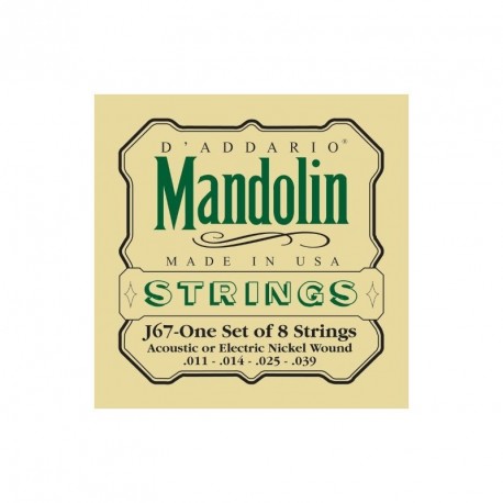 CORZI MANDOLA DADDARIO J67