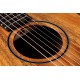 CHITARA ACUSTICA TAYLOR BTe-Koa, ES-B