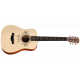 CHITARA ACUSTICA TAYLOR TS-BT