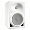 Monitor Studio Neumann KH 120 A W