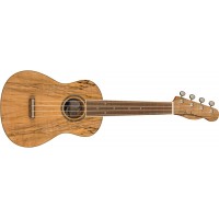 UKULELE FENDER ZUMA EXOTIC CONCERT UKULELE SPALTED WN