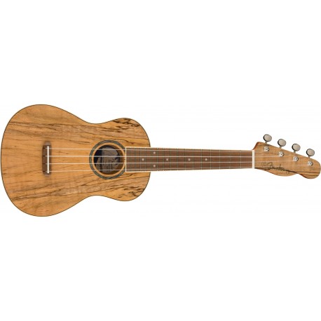 UKULELE FENDER ZUMA EXOTIC CONCERT UKULELE SPALTED WN