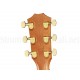 CHITARA ELECTRO-ACUSTICA TAYLOR 224ce-K DLX
