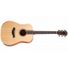 Chitara Acustica Taylor Academy 10
